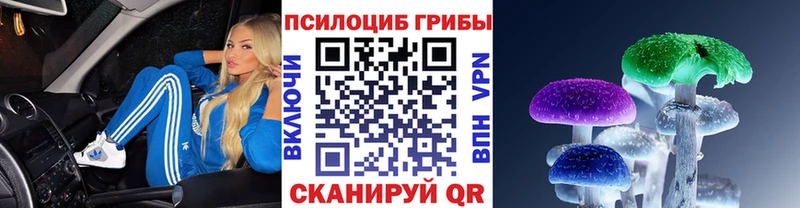 Галлюциногенные грибы Cubensis  Купить  Обь 